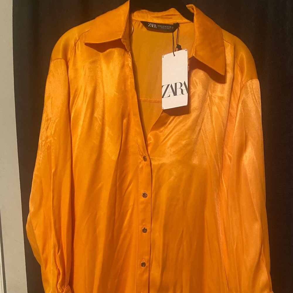 Zara long sleeve blouse